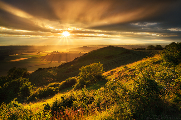 Energy from the Sun is absorbed in the early morning