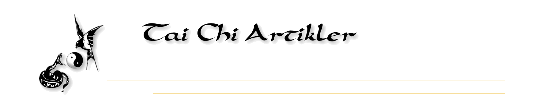 Tai Chi Artikler