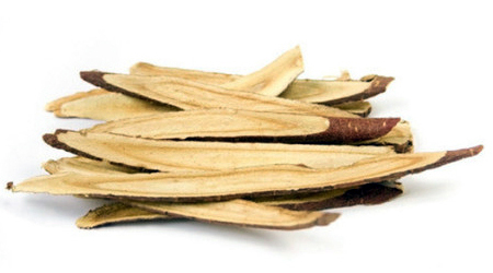 Astragalus