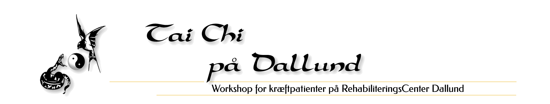 Tai Chi Dallund