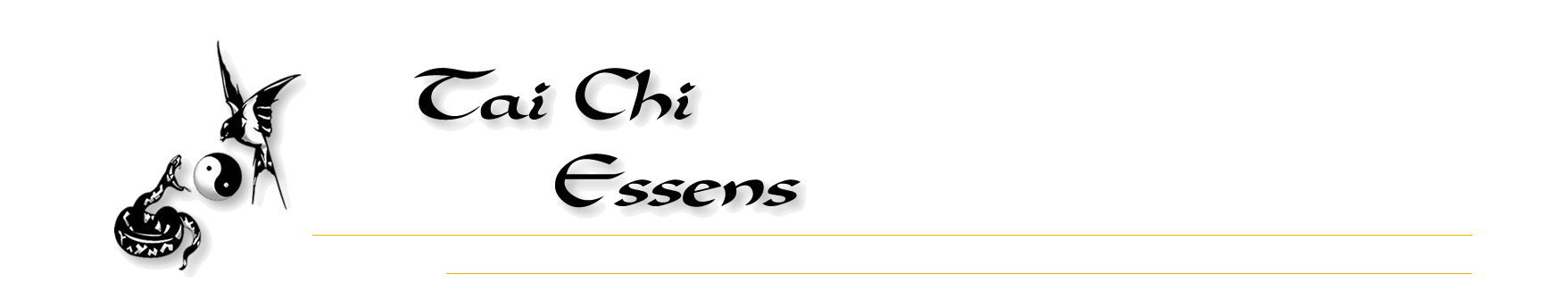 Tai Chi Essens