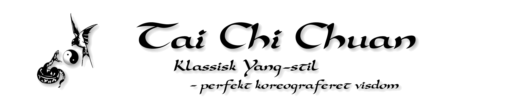 Tai Chi Yang Stil