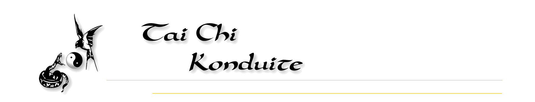 Tai Chi Konduite