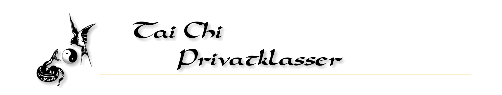 Tai Chi Privat Klasser