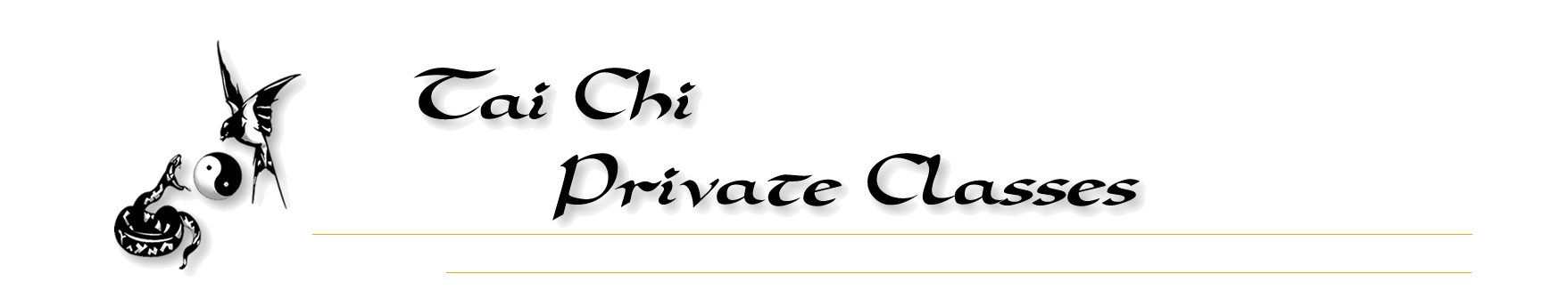 Tai Chi Private Classes