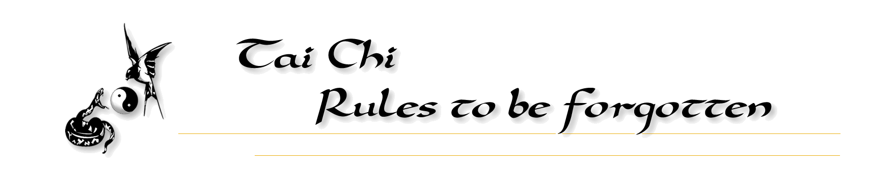 Tai Chi Rules To Be Forgotten