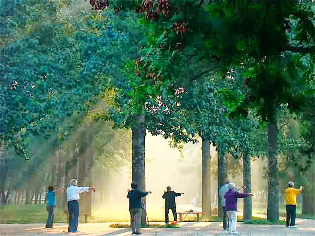 Tai Chi is preferably trained in the open, slowly and with full awareness.